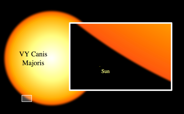 
#9 Và Mặt trời của chúng ta vẫn còn “thấp bé nhẹ cân” chán so với VY Canis Major – một trong những ngôi sao lớn nhất trong dải ngân hà. (Ảnh: BuzzFeed)