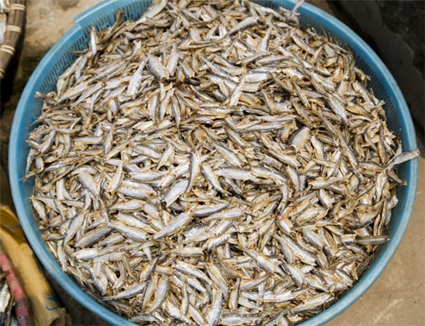 
Bangladesh: Shutki là tên gọi của món cá sống phơi khô với mùi vị đặc trưng, được sử dụng để thêm vào nhiều loại thức ăn ở Bangladesh. Ảnh: Trangiap/iStock.  