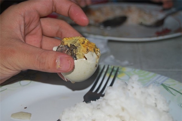 
Philippines: Món trứng vịt lộn luộc rất phổ biến ở quốc gia Đông Nam Á khiến nhiều du khách hoảng sợ khi nhìn thấy. Ảnh: Flickr/riceburn07 . 