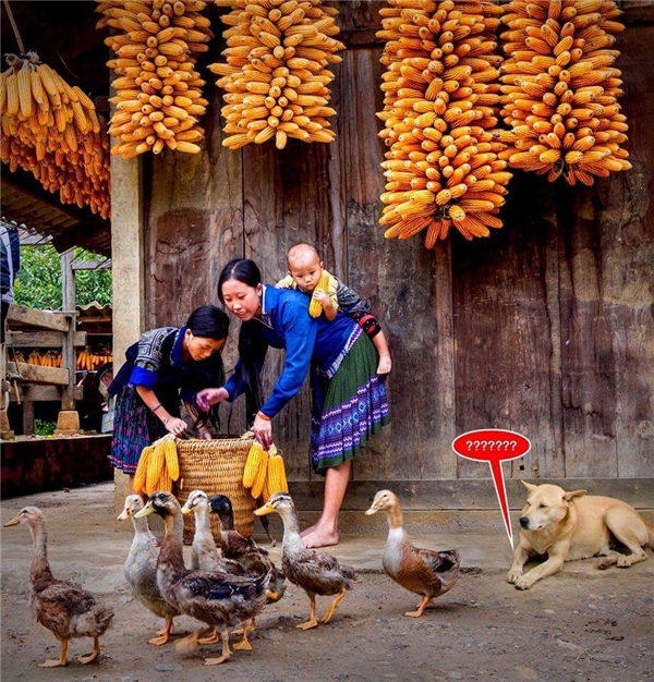 
Bức ảnh đoạt giải nhất của tác giả Vũ Chiến đang gây tranh cãi kịch liệt trong cộng đồng nhiếp ảnh Việt Nam