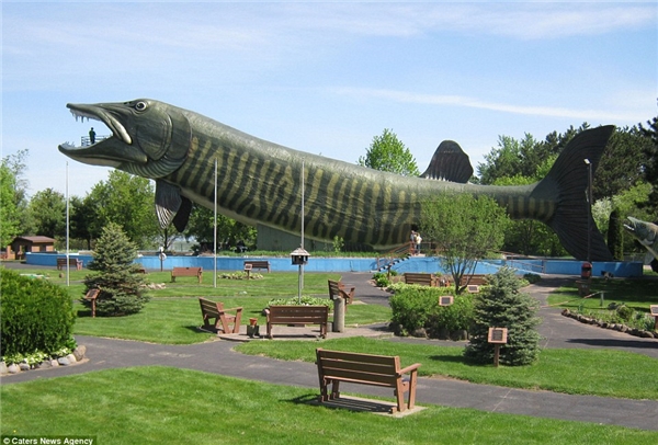 
Chú cá Muskie khổng lồ này là trung tâm tòa nhà kỉ niệm câu cá nước ngọt ở Hayward, Wisconsin. Hơn bốn tầng cao và dài như một chiếc máy bay, nếu chú cá này có thực, nó có thể nuốt chửng cả một chiếc xe buýt. 