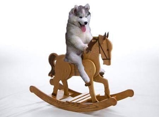 
Leo dừa làm gì cho cực thân, cưỡi ngựa gỗ là an toàn nhất rồi.