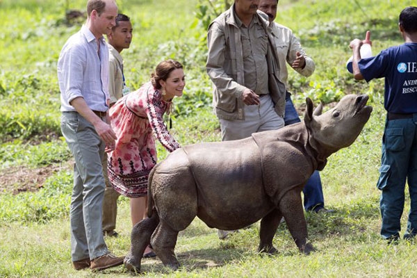
William và công nương Kate trong một chuyến công tác về bảo vệ động vật hoang dã. Ảnh: Mirror.