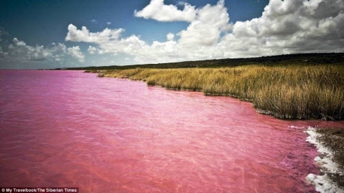 Bí ẩn một góc hồ nước muối cổ đại bỗng chuyển sang màu hồng
