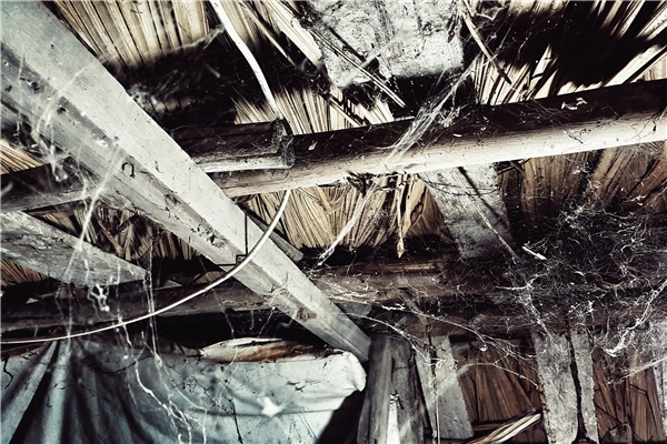 
Nhìn lên nóc nhà mạng nhện giăng chằng chịt bên dưới mái tranh lợp lá.