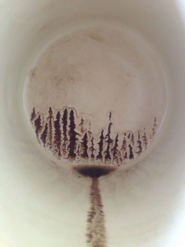 
Một khu rừng thông hoang vu hiện lên dưới đáy tách cà phê chỉ còn lại bã.