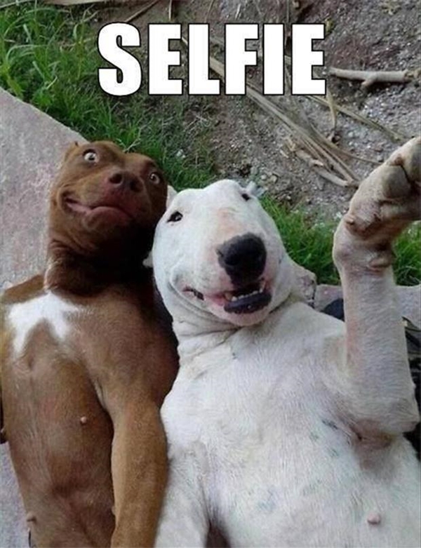 
Còn đây là hai thanh niên vui tính tự dìm hàng chính mình. Người ta gọi đó là selfie.