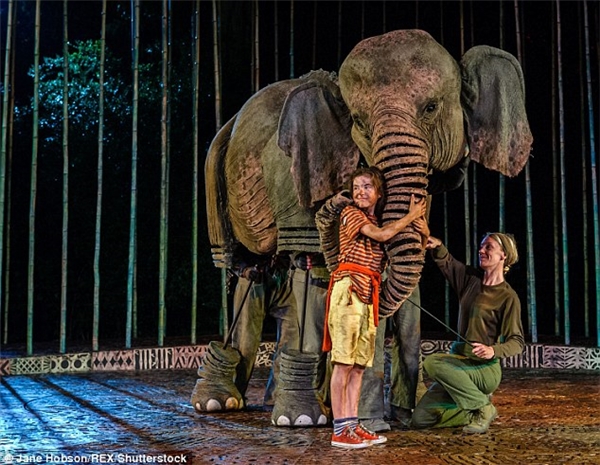 
Vở kịch về sự sống sót kì diệu của Amber và lòng dũng cảm của chú voi Ninh Nong dự kiến sẽ được tổ chức vào tháng 12 tới.