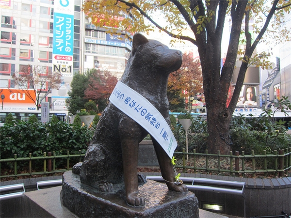 
Hình tượng chú chó Hachiko trở thành một trong những biểu tượng quí báu của người Nhật Bản.