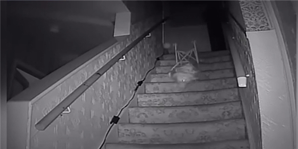 Sau tiếng động phát ra từ căn gác không người, họ nhìn thấy chiếc ghế rơi xuống cầu thang. (Ảnh: chụp màn hình)