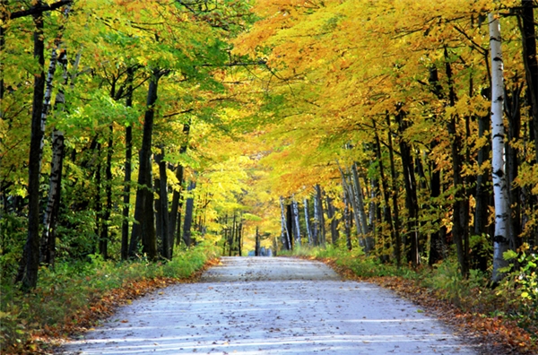 
Fish Creek, Wisconsin: Ai mà chẳng muốn được một lần lướt qua những con đường trải dài vô tận với tán lá đỏ-vàng rợp bóng trên đầu như ở vùng thị trấn yên tĩnh này.
