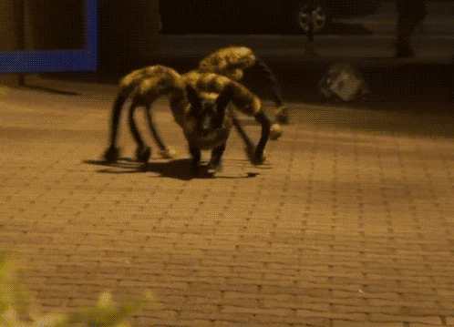 
Cứu, cứu, quái vật nhền nhện tấn công thành phố.