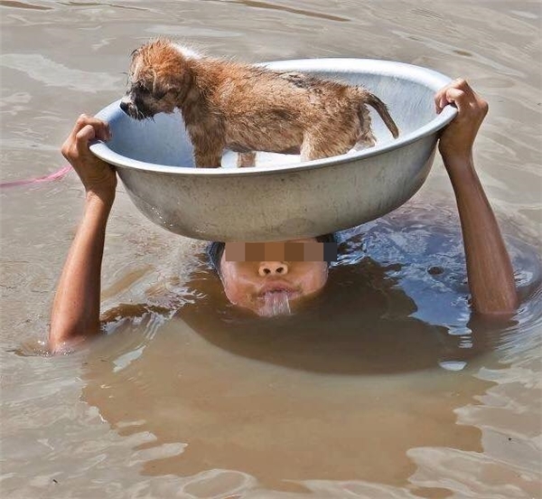 Chú bé cố cứu sống chú chó trong biển nước mênh mông. Ảnh: Xóm nhiếp ảnh