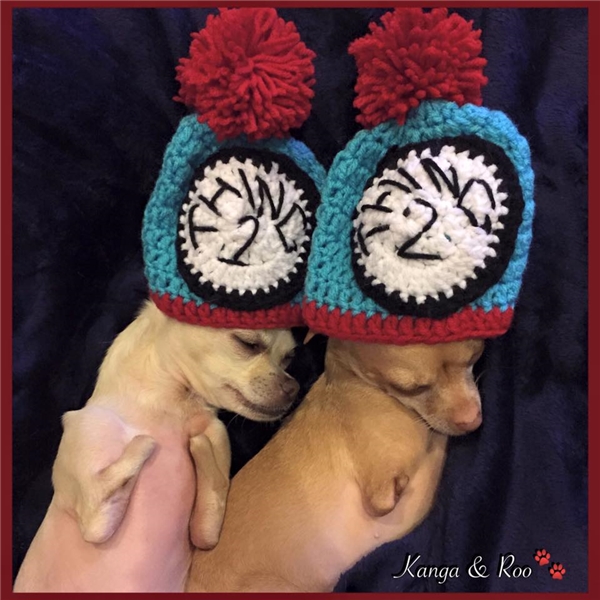 Kanga & Roo: Cặp anh em cún cụt chân gây sốt cộng đồng mạng