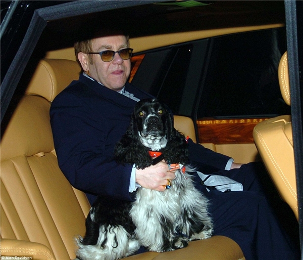 
Arthur Dwight là chú chó mà danh ca Eton John được tặng trong dịp sinh nhật lần thứ 56 của mình.