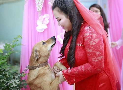
Trên hình là chú chó Ki và cô chủ trong lễ Vu Quy của cô vào năm ngoái. Khi biết cô chủ đi lấy chồng xa, chú chó thể hiện rõ sự buồn phiền trên gương mặt và khóc ướt cả hai mắt. (Ảnh: Huỳnh Lý Hùng)
