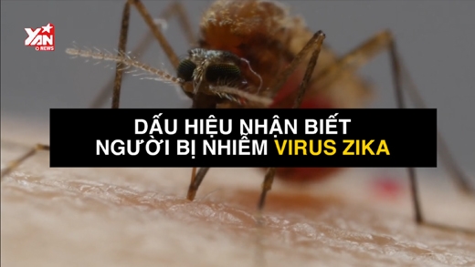Dấu hiệu và cách phòng tránh bệnh do nhiễm virus Zika
