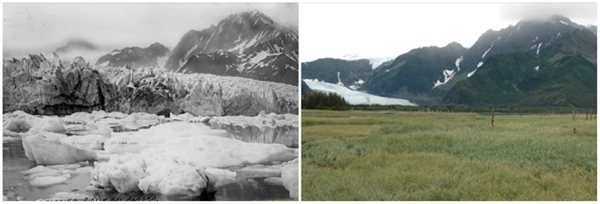 
Sông băng Pedersen, Alaska (1917 - 2005)