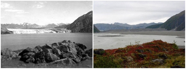 
Sông băng Carroll, Alaska (08/1906 - 09/2003)