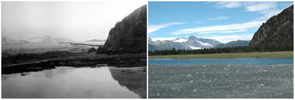 
Sông băng Bear, Alaska (07/1909 - 08/2005)