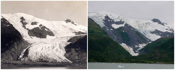 
Sông băng Toboggan, Alaska (06/1909 - 09/2000)