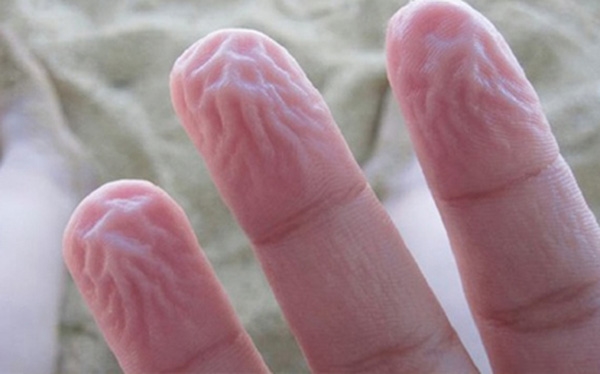 
Các nếp nhăn trên đầu ngón tay xuất hiện khi ngâm tay quá lâu trong nước là để gia tăng độ ma sát.