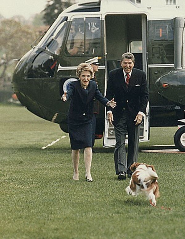 
Chú cún cưng tên Rex mừng rỡ ra đón tổng thống Ronald Reagan và đệ nhất phu nhân Nancy.