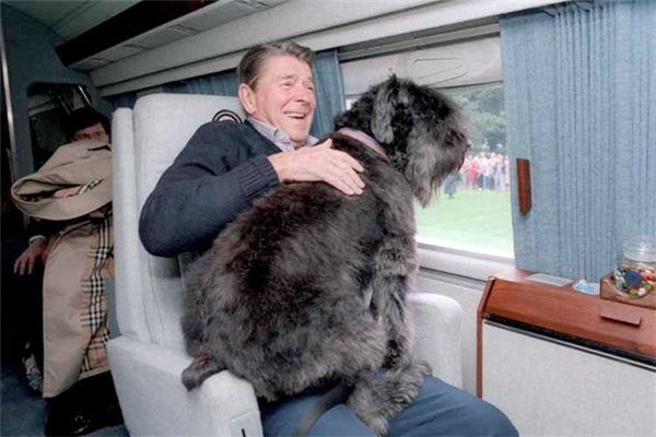 
Tổng thống Ronald Reagan mang cún cưng lên máy bay.