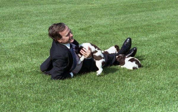 
Tổng thống Mỹ George H.W. Bush đùa giỡn với con chó cưng Millie.