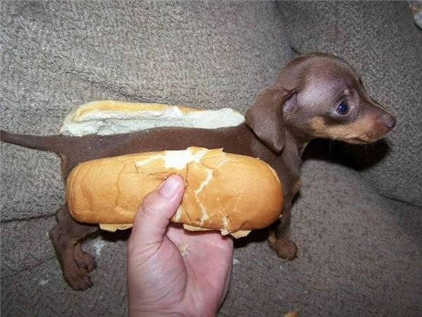 
Hot dog chính hiệu luôn nhé.