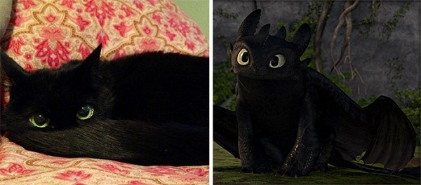 Chuẩn mèo đen hóa rồng ấy nhỉ! (Ảnh: Internet)