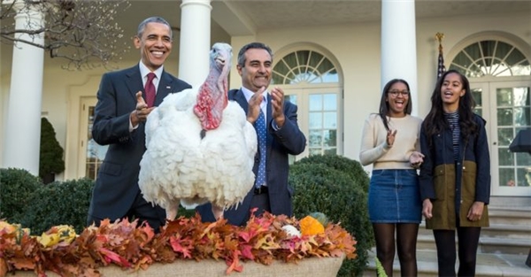“Xin chúc mừng”, ông Obama nói ngay sau khi làm lễ xá tội cho một con gà tây mang tên Tot để nó không phải xuất hiện trên bàn ăn tối của người Mỹ dịp Lễ Tạ ơn.