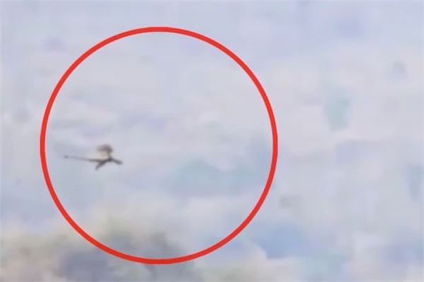 
Hồi cuối tháng 10 vừa qua, đoạn clip ghi lại hình ảnh một con rồng khổng lồ đập cánh bay lượn trên không trung ở vùng núi gần biên giới Lào và Trung Quốc cũng khiến nhiều người bàn tán xôn xao. (Ảnh: Mirror).
