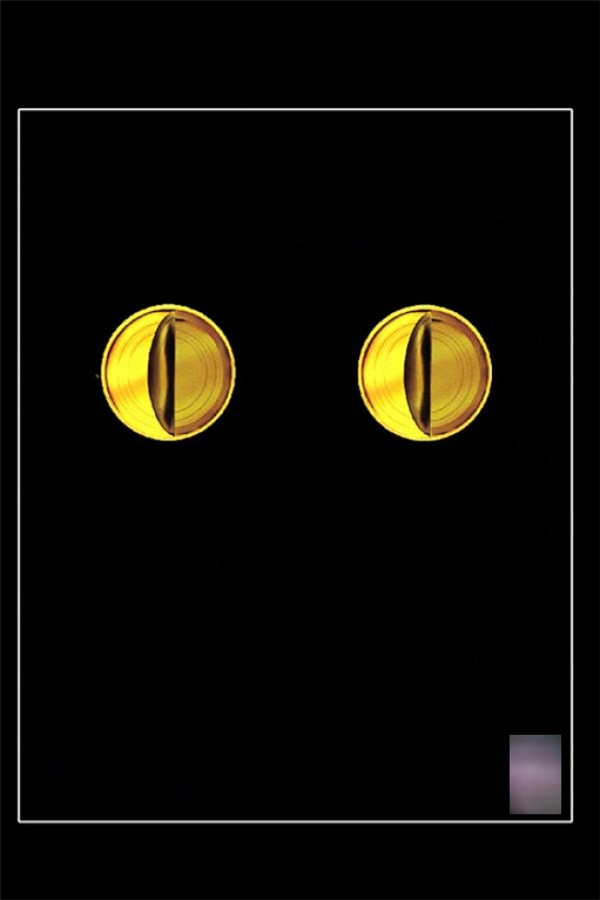 
Quảng cáo đồ hộp cho mèo được truyền tải thông qua "đôi mắt mèo" làm bằng vỏ lon.