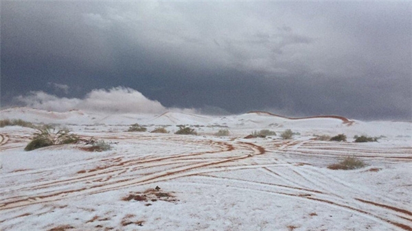Tuyết phủ kín một vùng sa mạc Ả Rập.