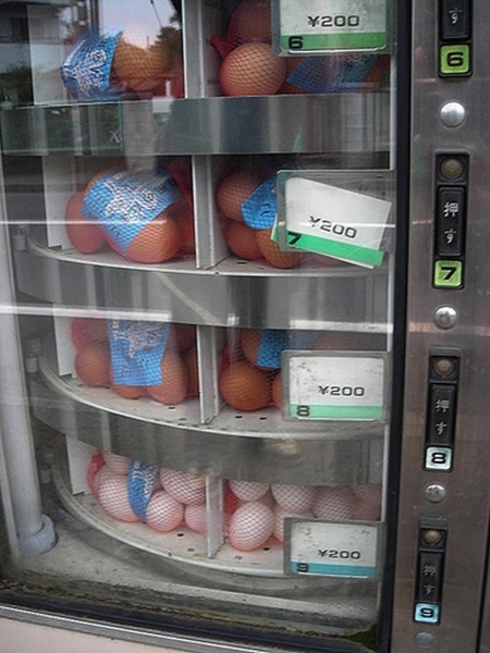 
Máy bán trứng tự động. 