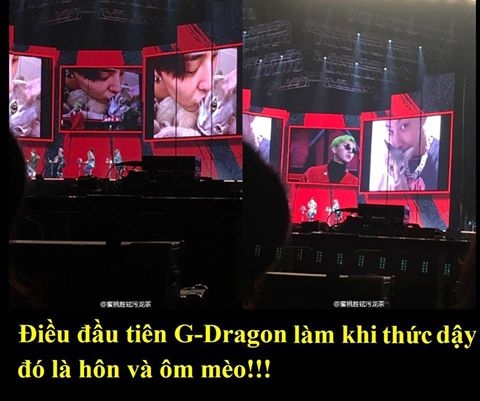 
G-Dragon vốn nổi tiếng một anh chàng dịu dàng ấm áp và rất cưng chiều fan.