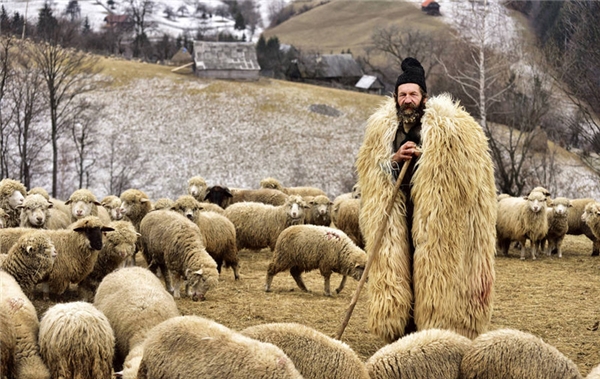 
Người chăn cừu cô độc trên dãy núi Carpat, Romania. (Ảnh: Gutescu Eduard)