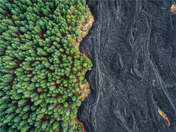 
Rừng cây bên dòng sông cát đen, ảnh chụp từ drone của Placido Faranda.
