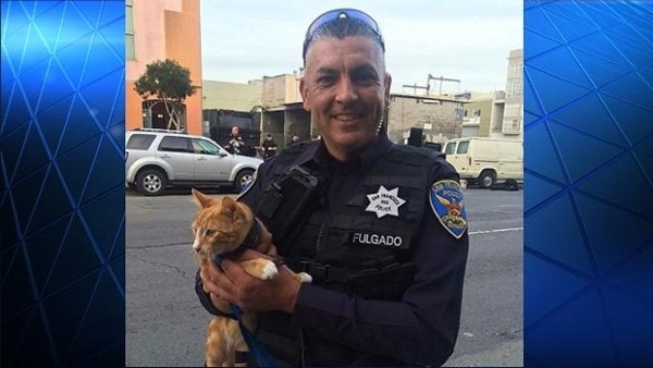 7 Incredible Cats Save Their Owner Lives, Call Ambulance Themselves 5