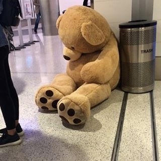 
Chú gấu khổng lồ buồn bã tại sân bay quốc tế Los Angeles. (Ảnh: Instagram)