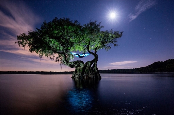
Hình ảnh đầy ảo diệu và nên thơ này chính là chiếc võng được mắc trên thân cây giữa hồ nước ở Florida, Mỹ là nơi ngả lưng của nhiếp ảnh gia chụp ảnh bảo tồn thiên nhiên và động vật hoang dã - Mac Stone - hồi tháng 8 vừa qua.