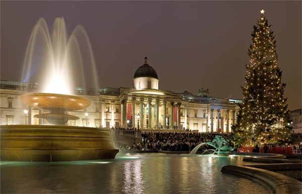 
Cũng ở London, một cây thông sáng lấp lánh khác thong dong ngắm thác nước và cảm nhận không khí lễ hội đang tràn về. 