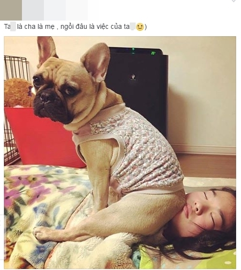 Lại thêm chú chó “like a boss” khiến netizen không nhịn được cười
