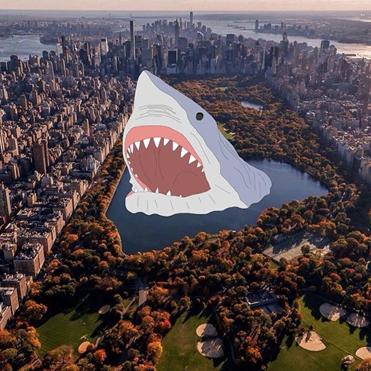 
Cá mập khổng lồ giữa lòng thành phố kìa!