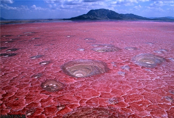 
Nằm ở phía Bắc Tanzania, hồ Natron mang vẻ đẹp kì ảo với màu đỏ tươi như máu tạo bởi các loài vi khuẩn đặc biệt. Nó còn được mệnh danh là hồ tử thần khi có thể khiến các sinh vật bước vào bị hóa đá đầy bí ẩn.