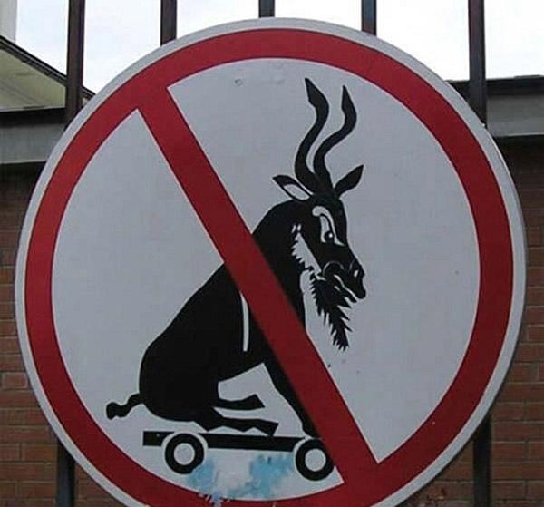 
Cấm dê trượt ván