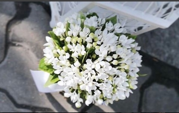 
Hoa cưới mang tông màu trắng và xanh tinh khôi.