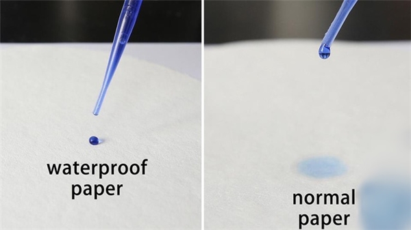 
So sánh mức độ chống nước của loại giấy mới (trái) và giấy thông thường. 