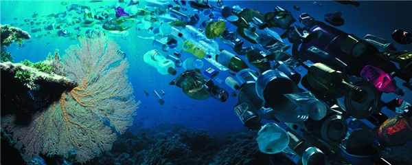 Rác thải biển đã trở thành vấn nạn không chỉ riêng Quốc gia nào trên thế giới.